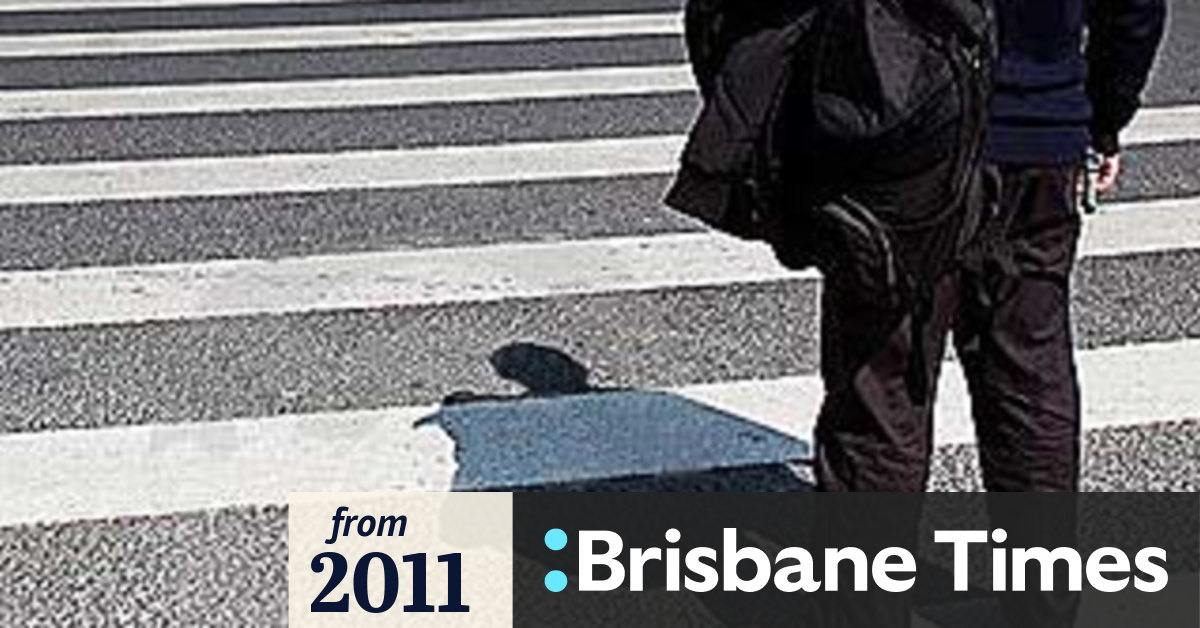 Law of the jungle rules zebra crossing